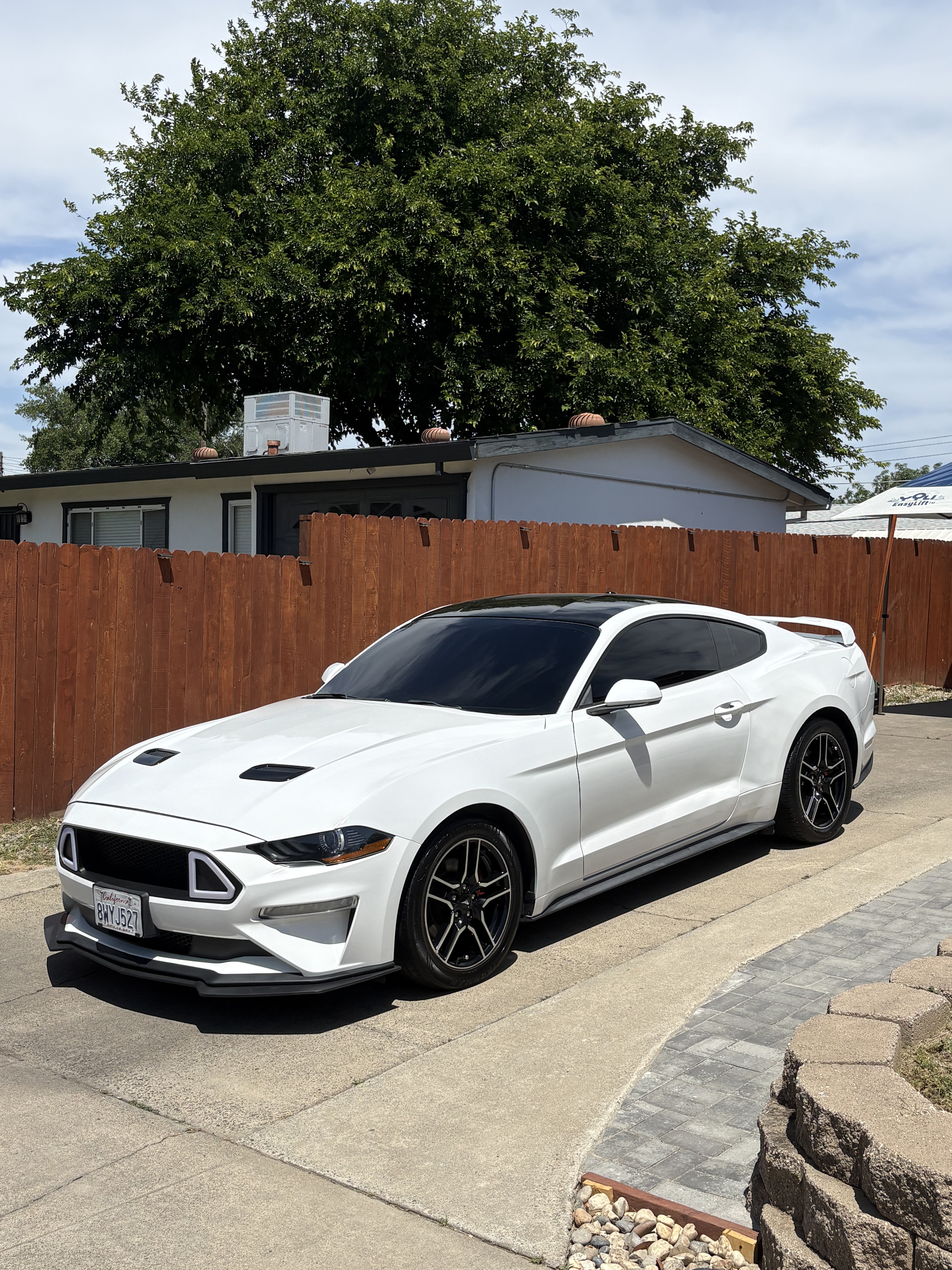 Elite Detailing - Pristine White Ford Mustang Detail